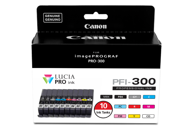 Ink & Cartridges