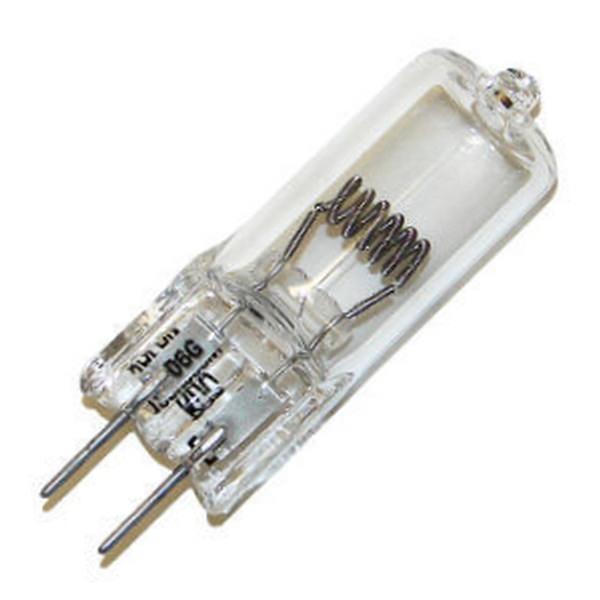 Bulbs & Flash Heads